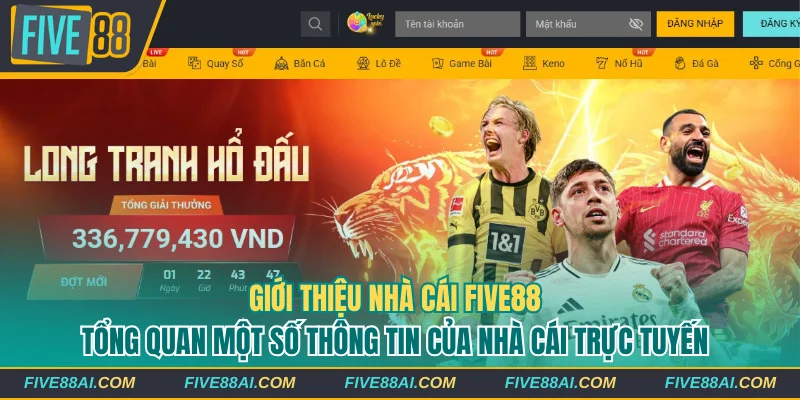 Tổng quan thông tin về nền tảng giải trí uy tín